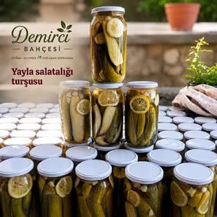 YAYLA SALATALIK TURŞU