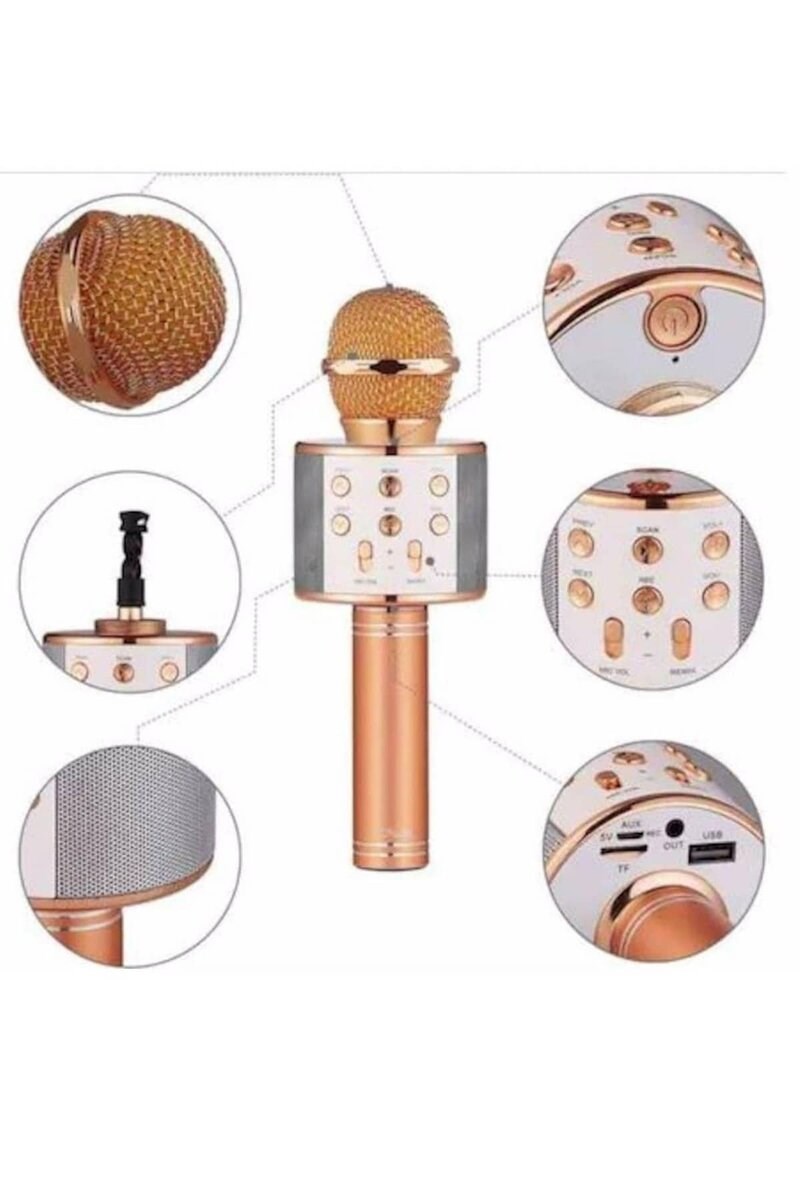 Karaoke Mikrofon Dahili Hoparlörlü Sd-usb-aux Girişli Bluetooth Hoparlör