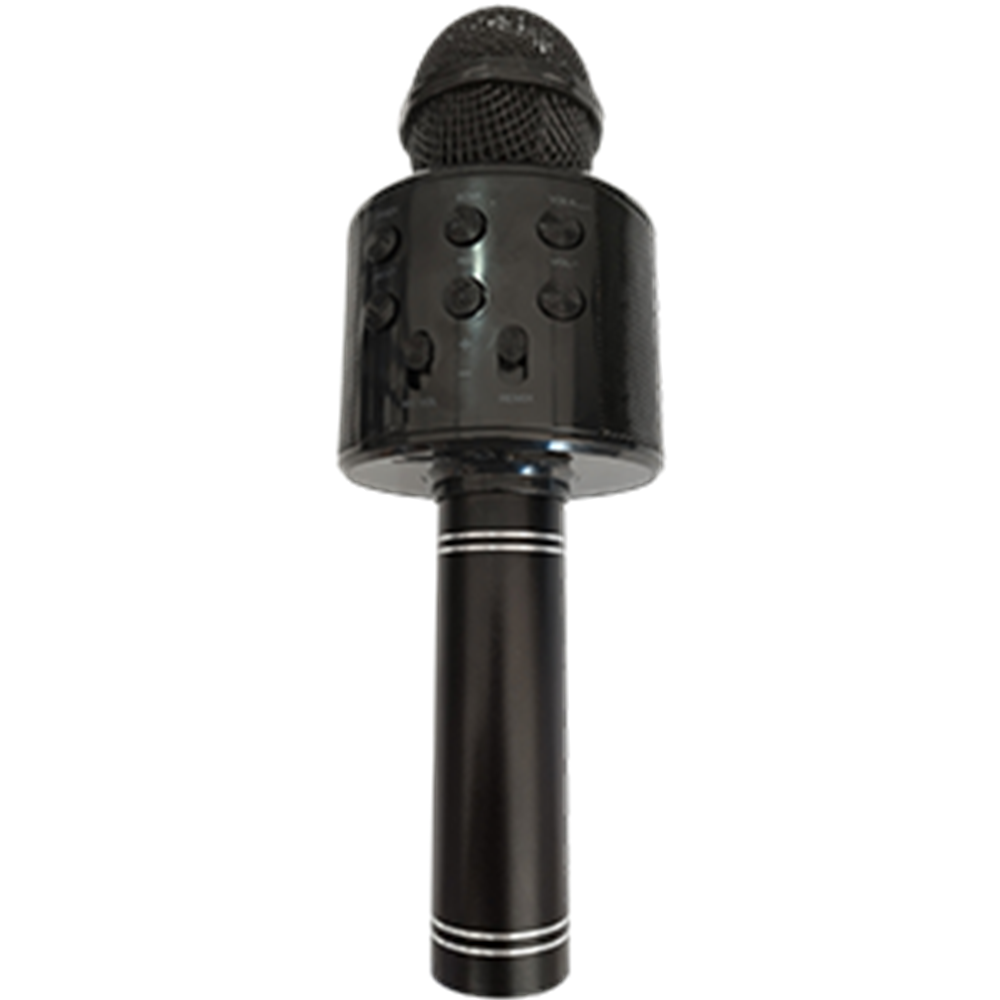 KARAOKE MİKROFON WS-858 MMK