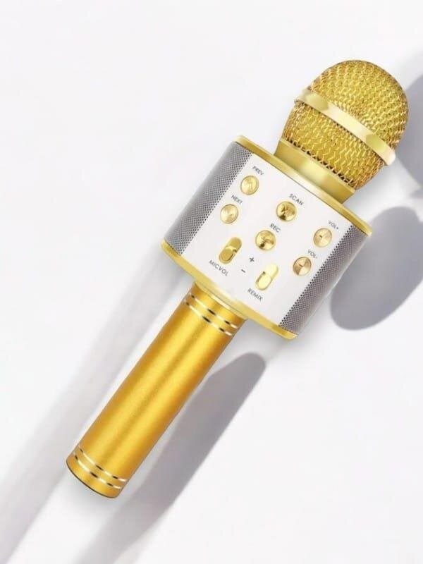 KAREOKE  MIKROFON