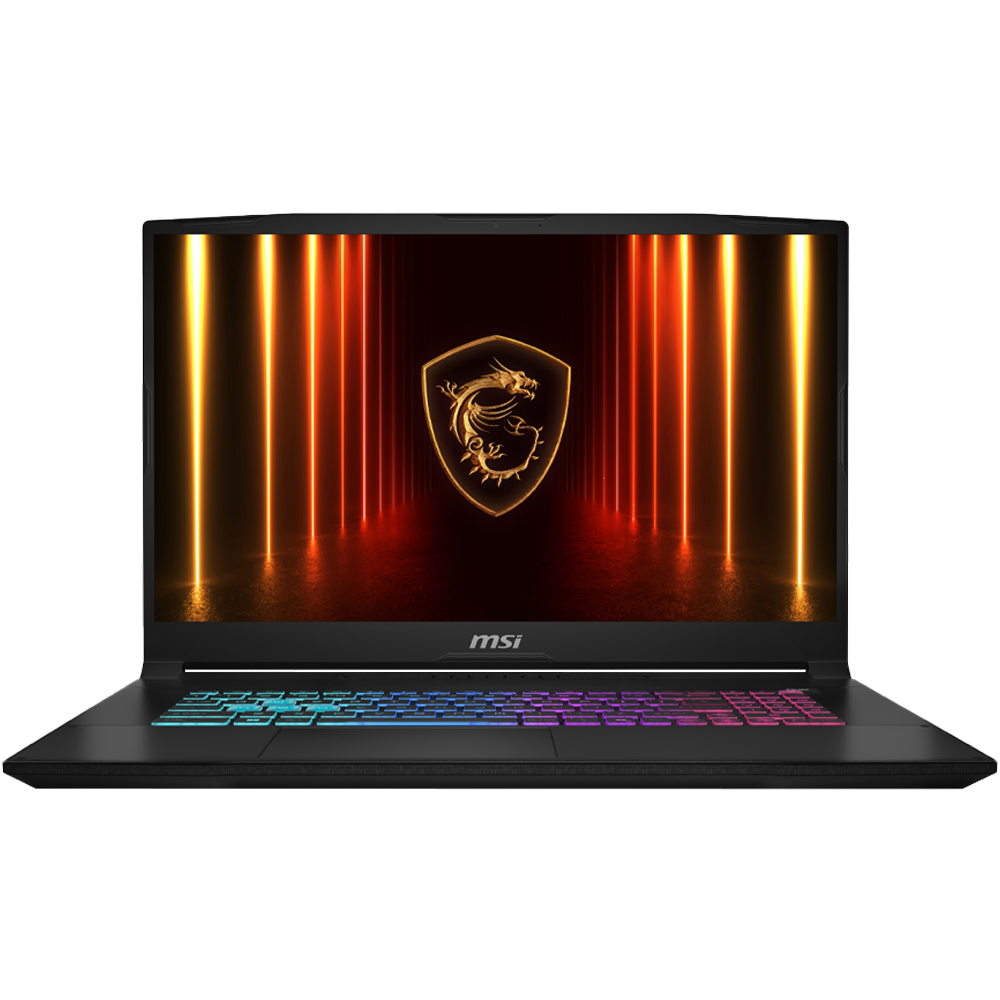 MSI 17.3