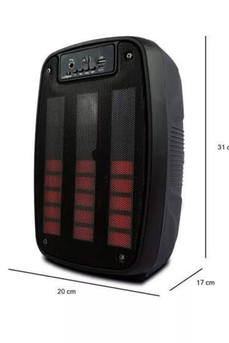 Taşınabilir 6.5 inç LED Bluetooth Kareoke Hoparlör RGB Işıklı Radyolu