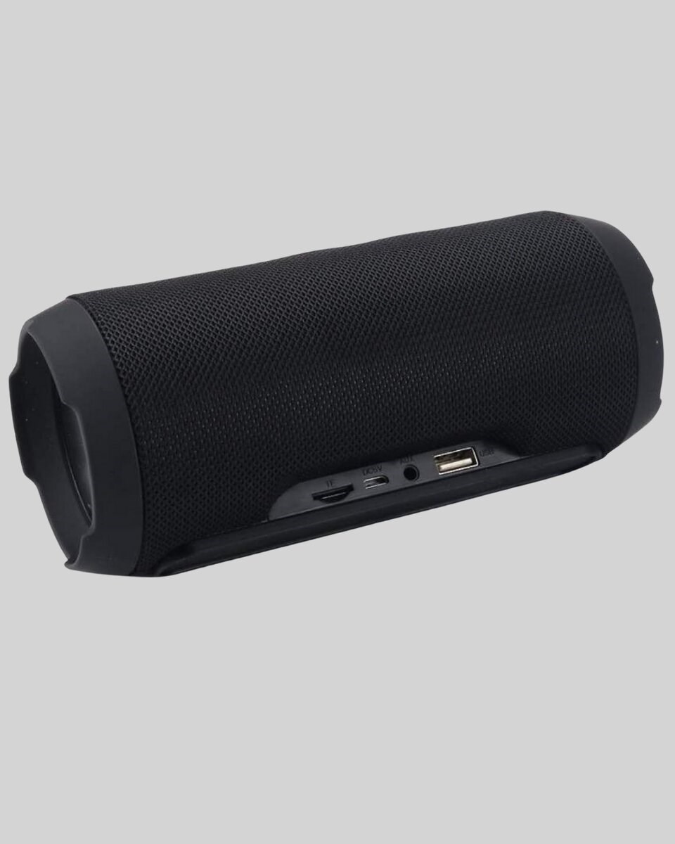 Taşınabilir Kablosuz Hoparlör 2 Woofer 2 Tweeter 12 Saat Oynatma