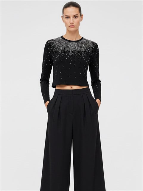 Taş Baskı Bisiklet Yaka Crop Bluz - Siyah