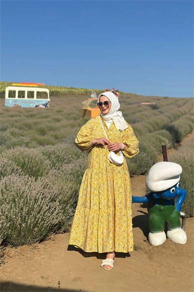 Selin Mngo Elbise Sarı