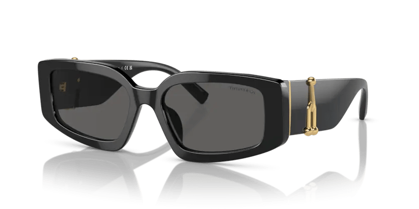 Tiffany & Co. 0TF4208U 8001S4 54