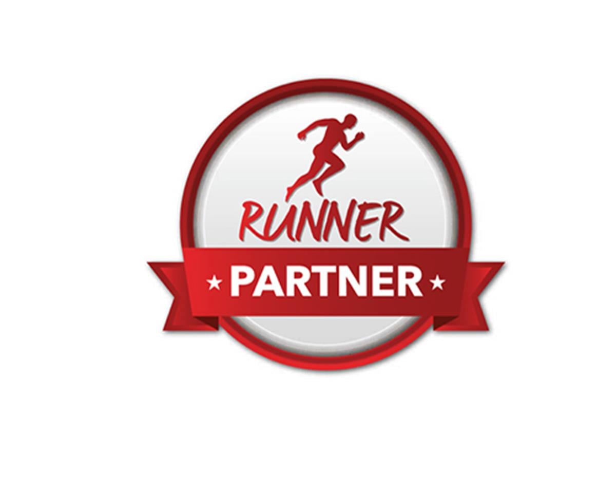 MİKRO RUN V16 ANA KİRALAMA YILLIK