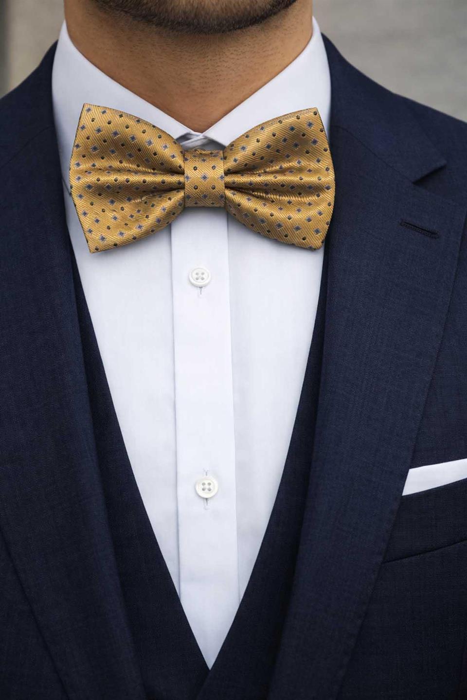 Gold Küçük Desen Papyon P2004