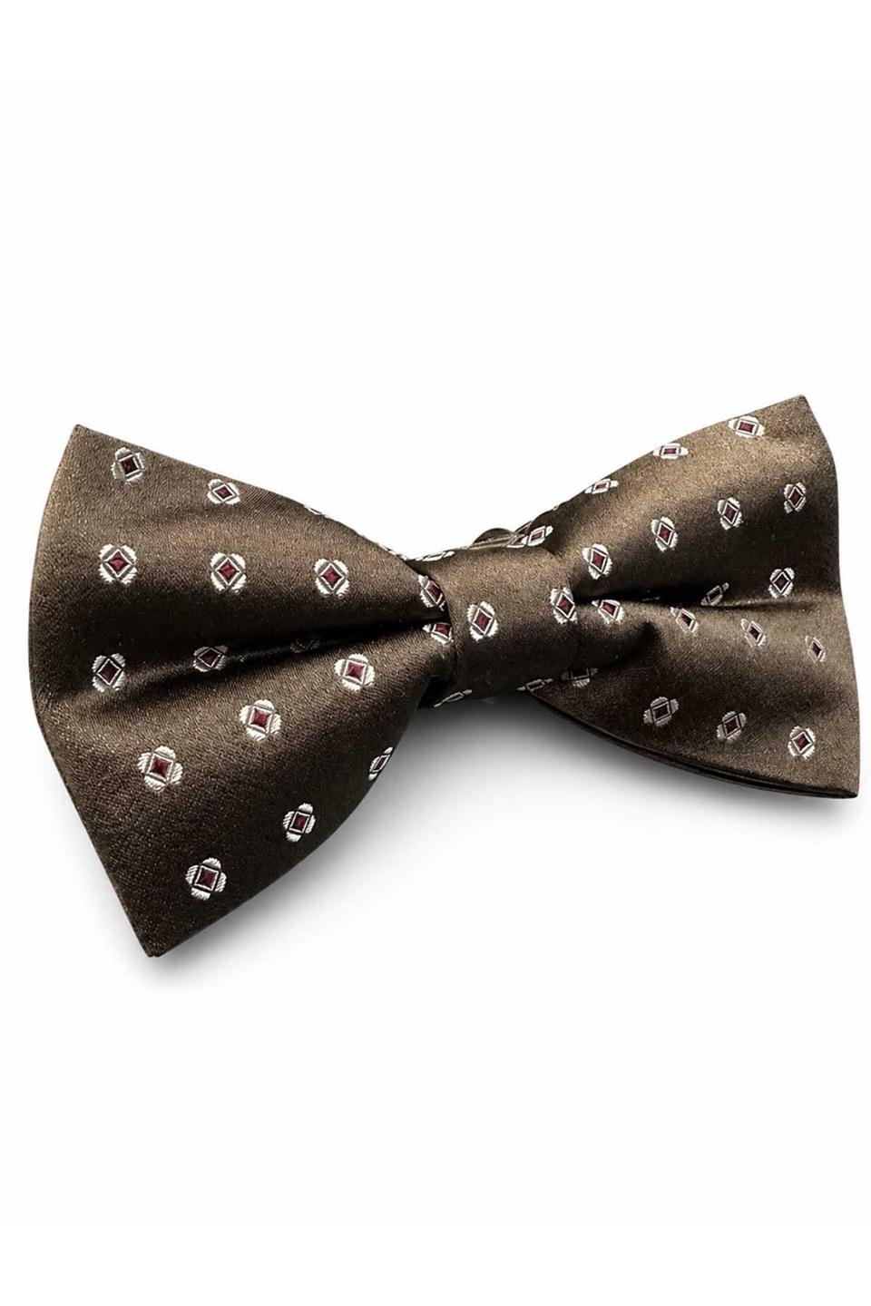 Vizon Motif İpek Papyon SB199