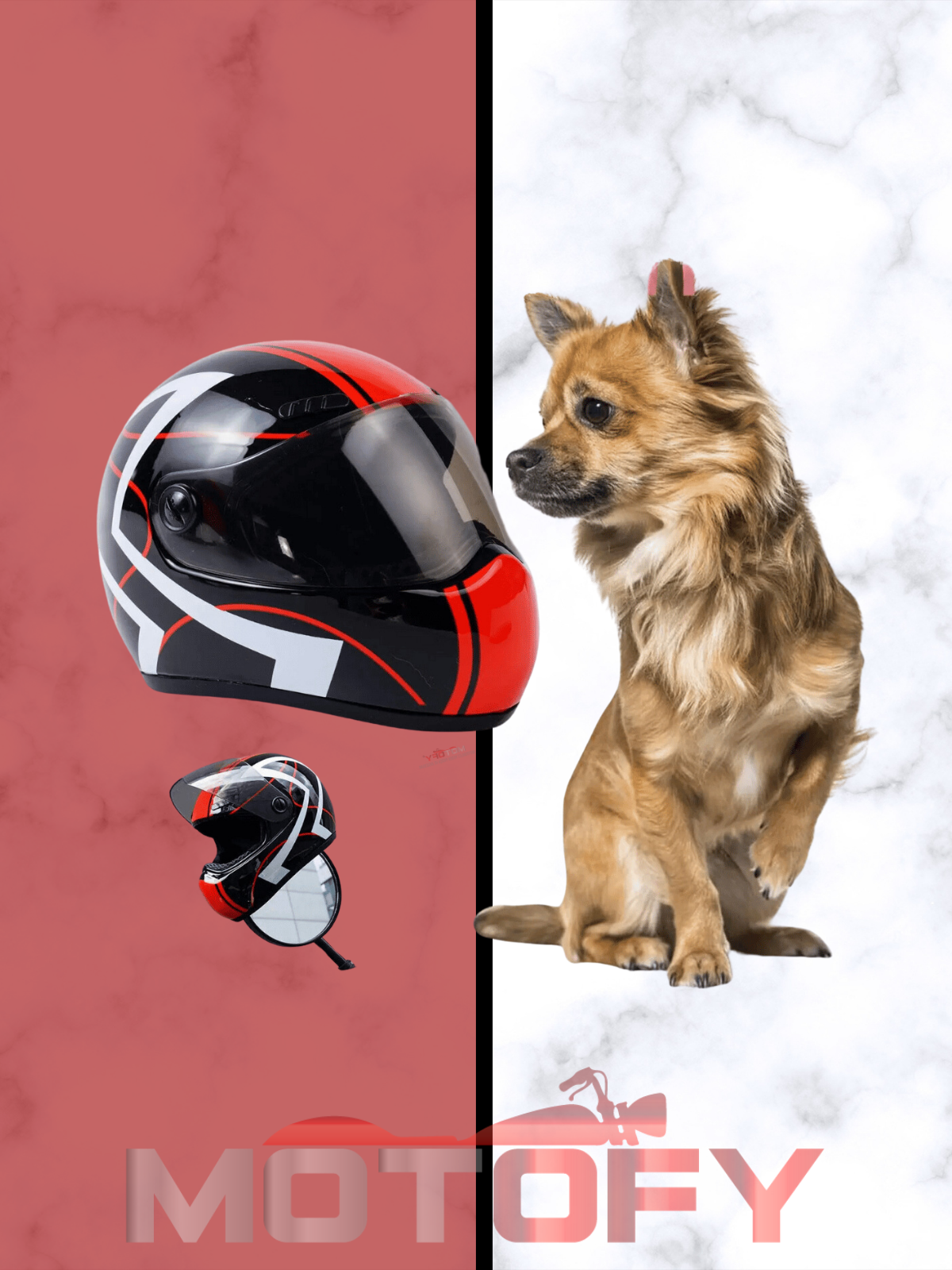 MİNİ KEDİ KÖPEK EVCİL HAYVAN MOTOSİKLET KASKI