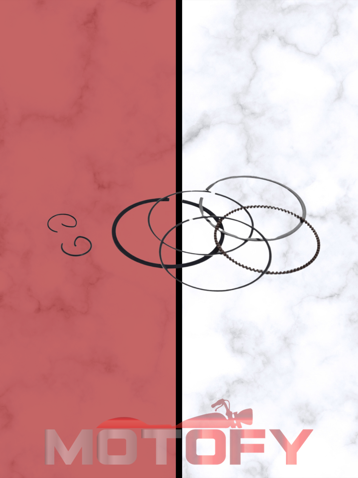 HONDA CBF 150 SEGMAN RN 100