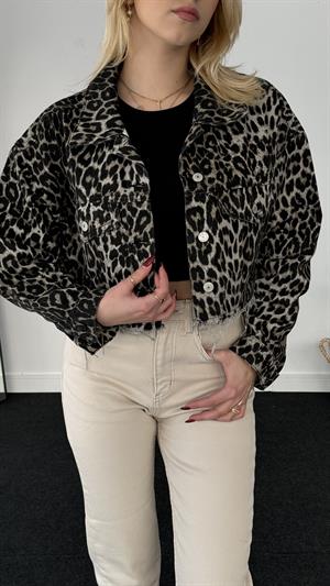Leopar Kot Ceket