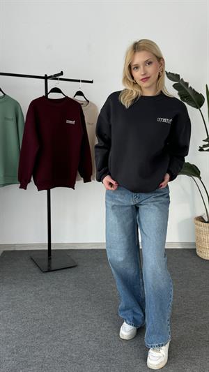 Orjinal Kalıp Etiketli Mavi Sweat Antrasit