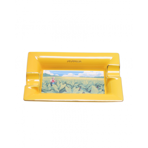 Parmida Küllük PKL0260pkl0260Parmida