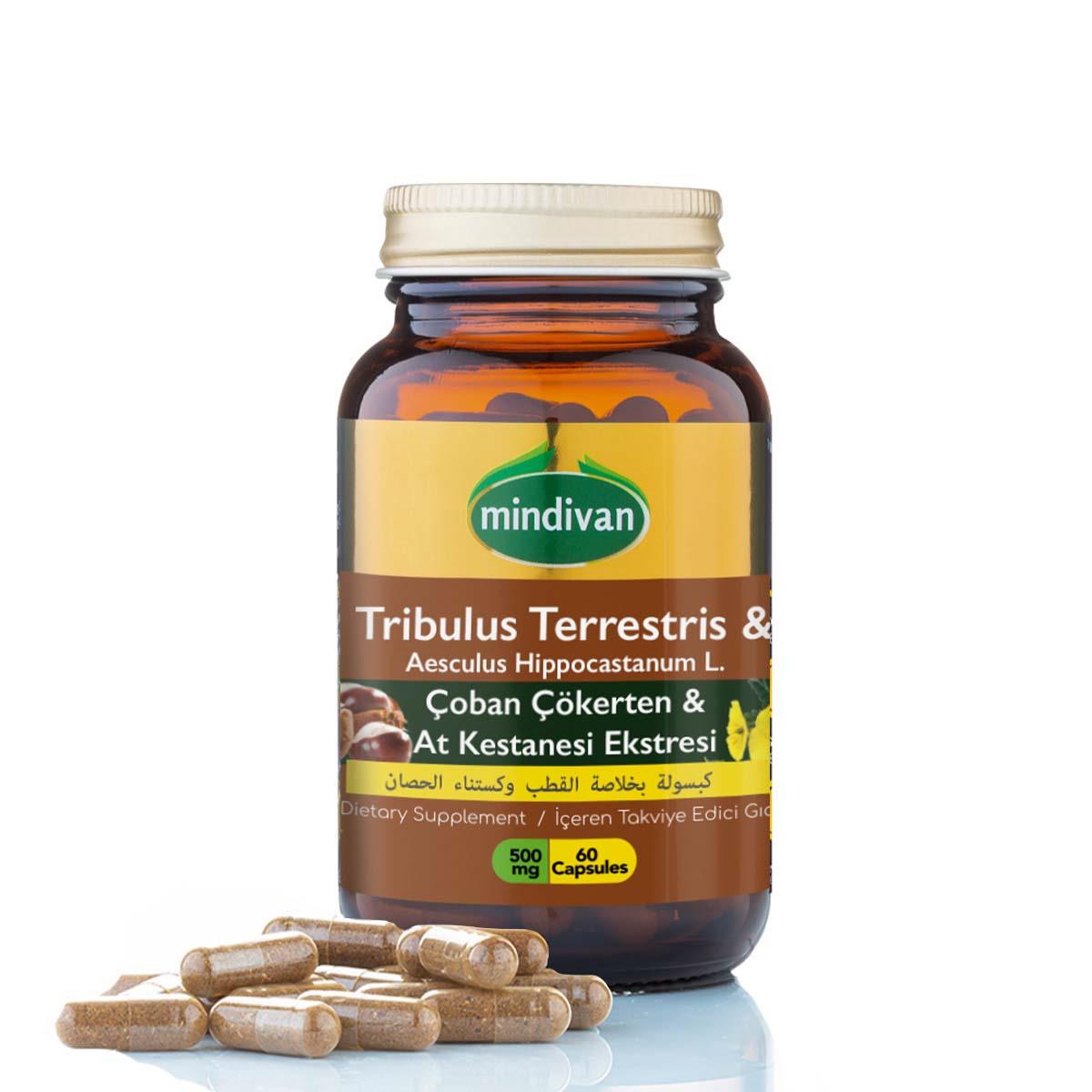 Çoban Çökerten &  At Kestanesi Ekstresi 500 Mg 60 Kapsül