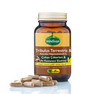 Çoban Çökerten & At Kestanesi Bitkisel Harman Seti No:B501