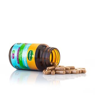 Cüce Palmiye & Yakı Otu Ekstresi 500 Mg 60 Kapsül
