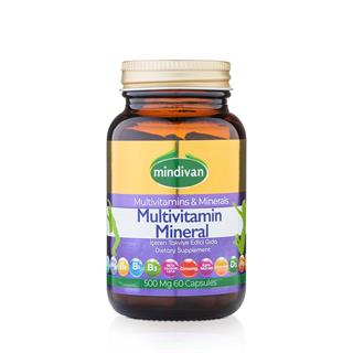 Multivitamin & Mineral 500 Mg 60 Kapsül