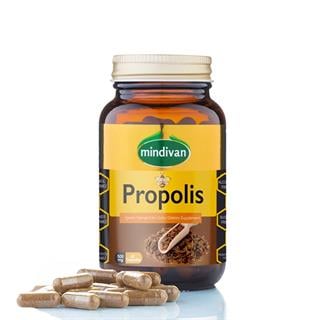 Propolis Ekstraklı 500 Mg 60 Kapsül