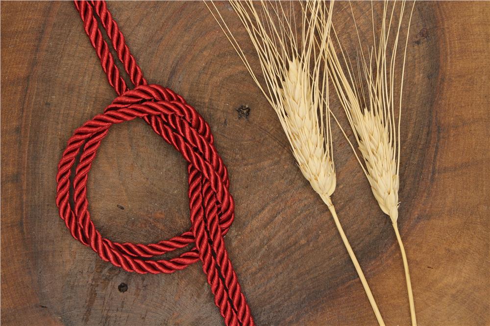 Kordon 5 mm - 30 mt Bordo