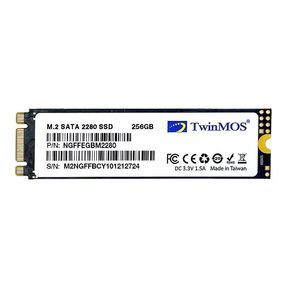 256 GB M.2 SATA3 580/550 NGFFEGBM2280