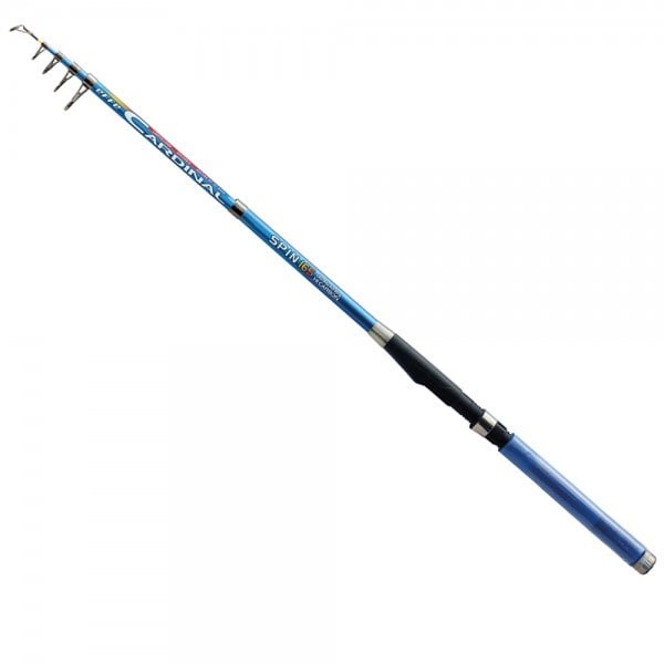 CARDİNAL KAMIŞ - KAMIŞ BOYU - 2.70 M