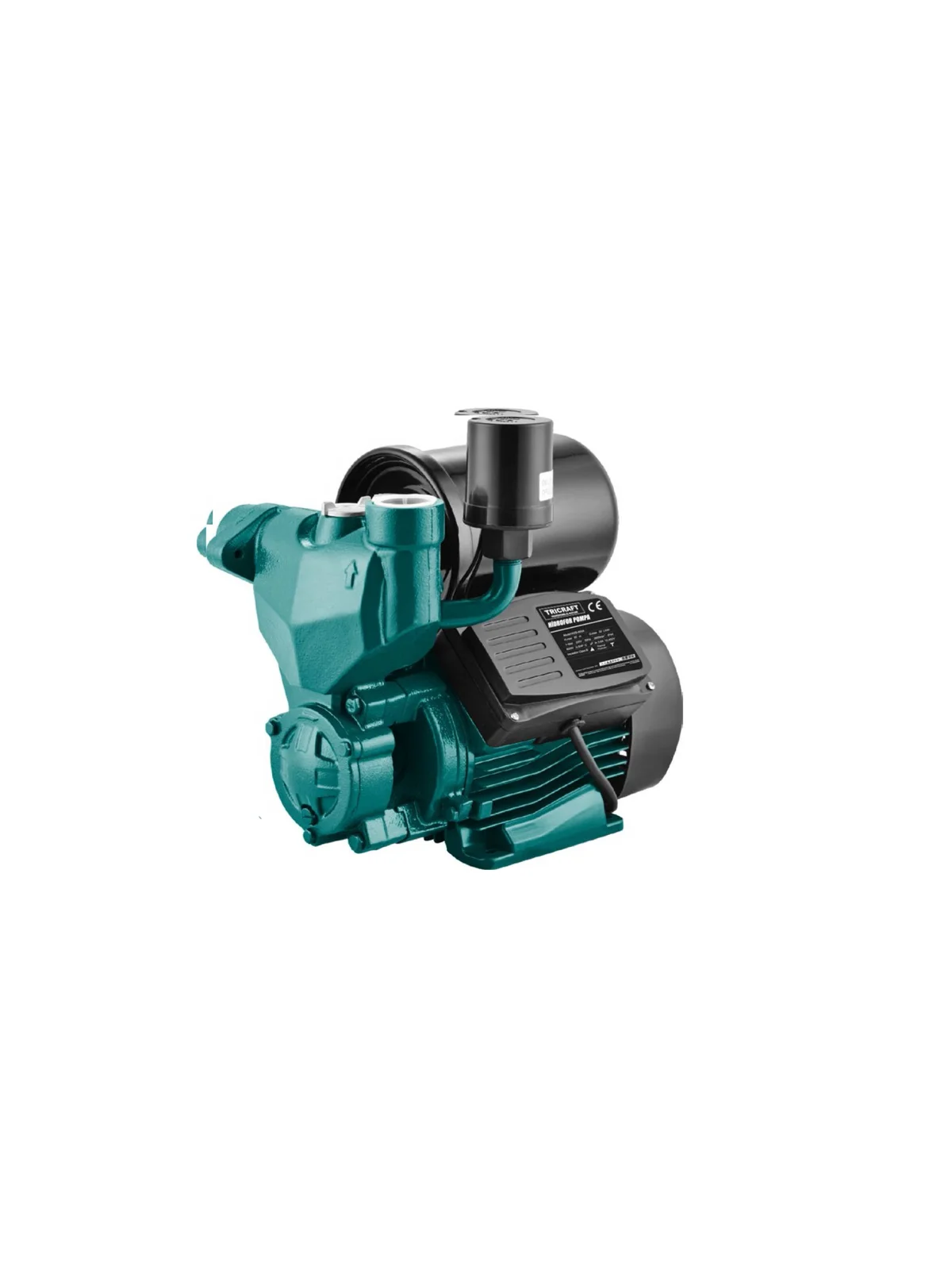 Hidrofor Pompası 0.5 HP MES9796