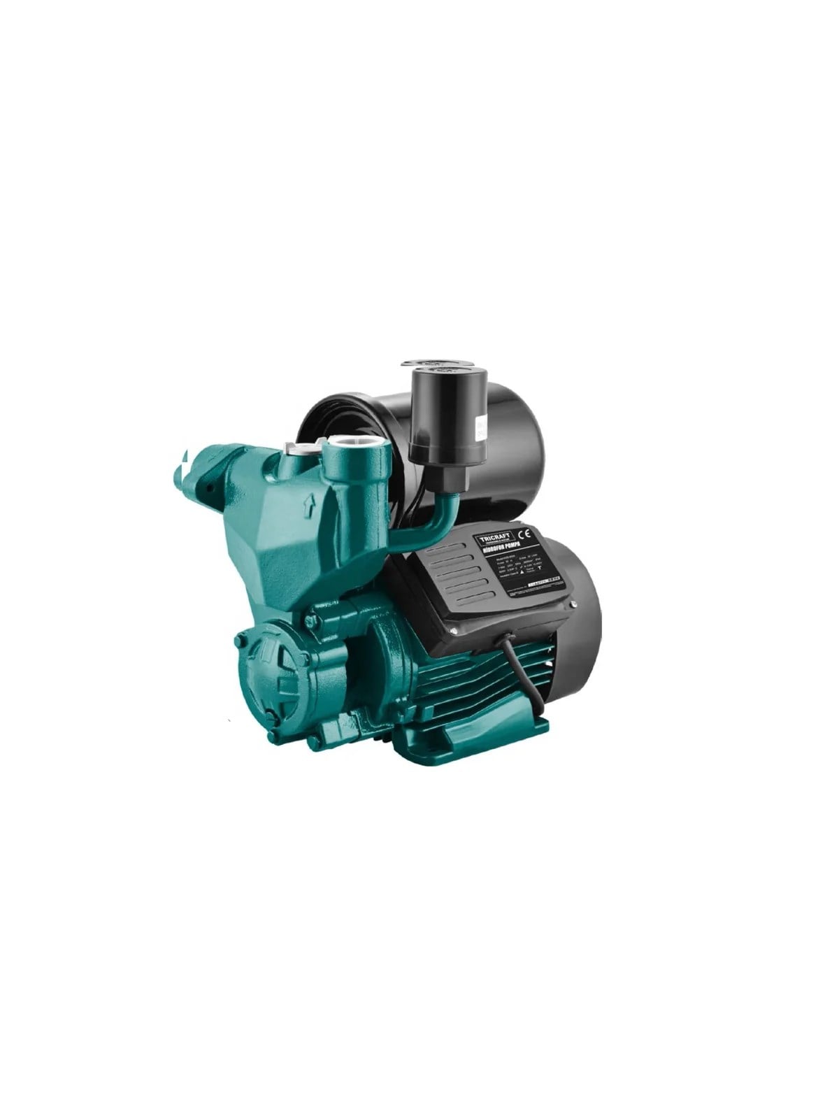 Hidrofor Pompası 0.5 HP MES9796