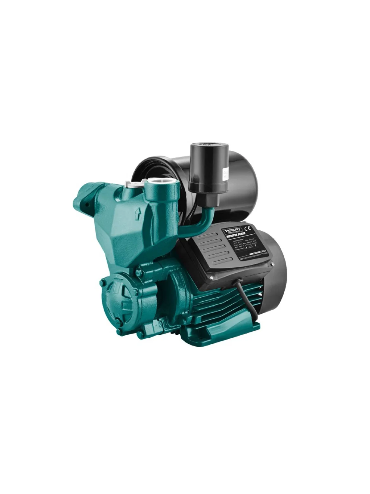 Hidrofor Pompası 0.75 HP MES9797