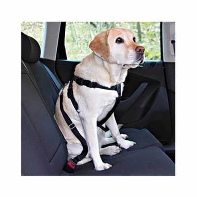 Köpek Emniyet Kemeri Medium 50-70 Cm