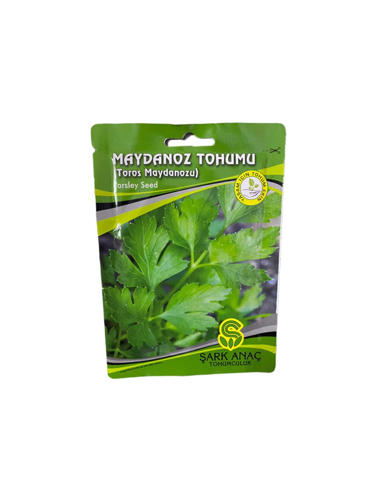 MAYDANOZ TOHUMU