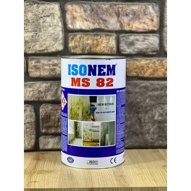 Nem ve Rutubet Boyası ile İç Mekan Koruma Çözümü