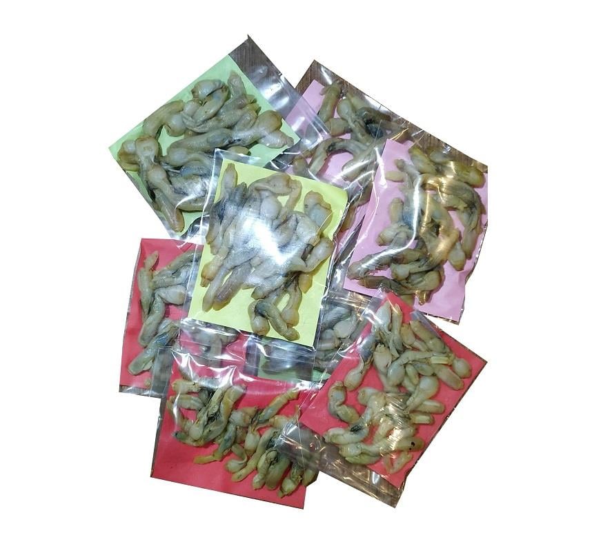 PASTÖRİZE EDİLMİŞ SÜLÜNEZ BALIK YEMİ