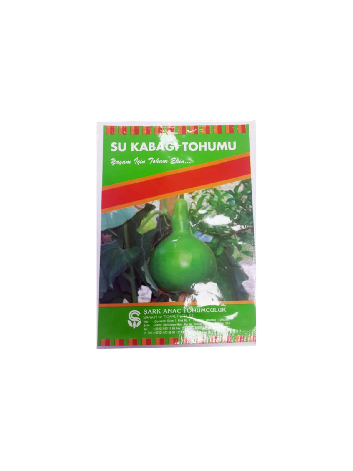 Süs Kabağı Tohumu