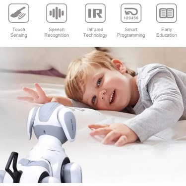 Uzaktan Kumandalı Programlanabilir Robot ile Eğlence