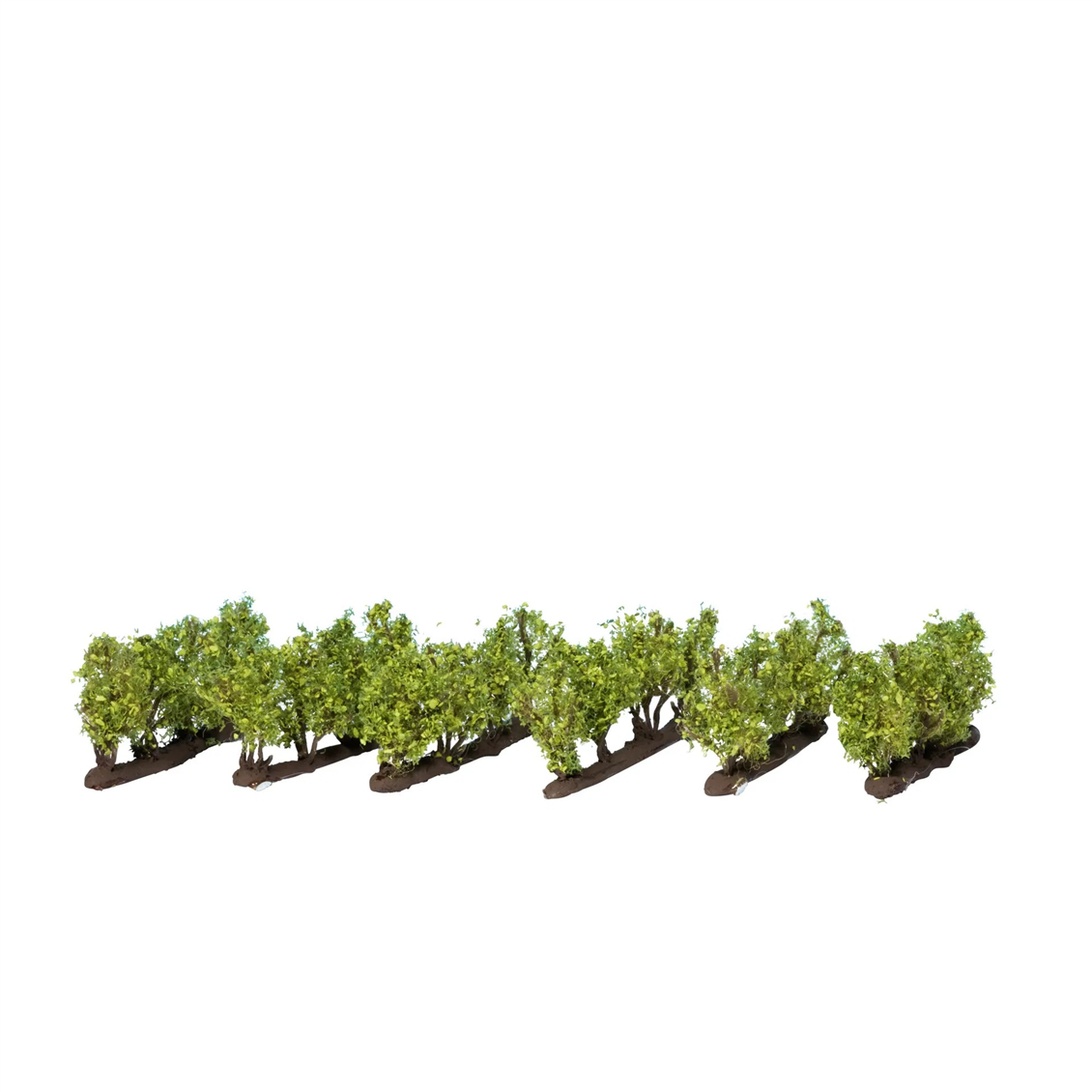 Noch 21540 Üzüm Asmaları, 24 Adet, 2,2 cm., Diorama Malzemesi