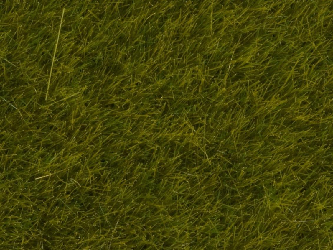 Noch 7090 Yabani Otlar, Çayır Yeşili, 6 mm, 100 Gram Diorama Malzemesi