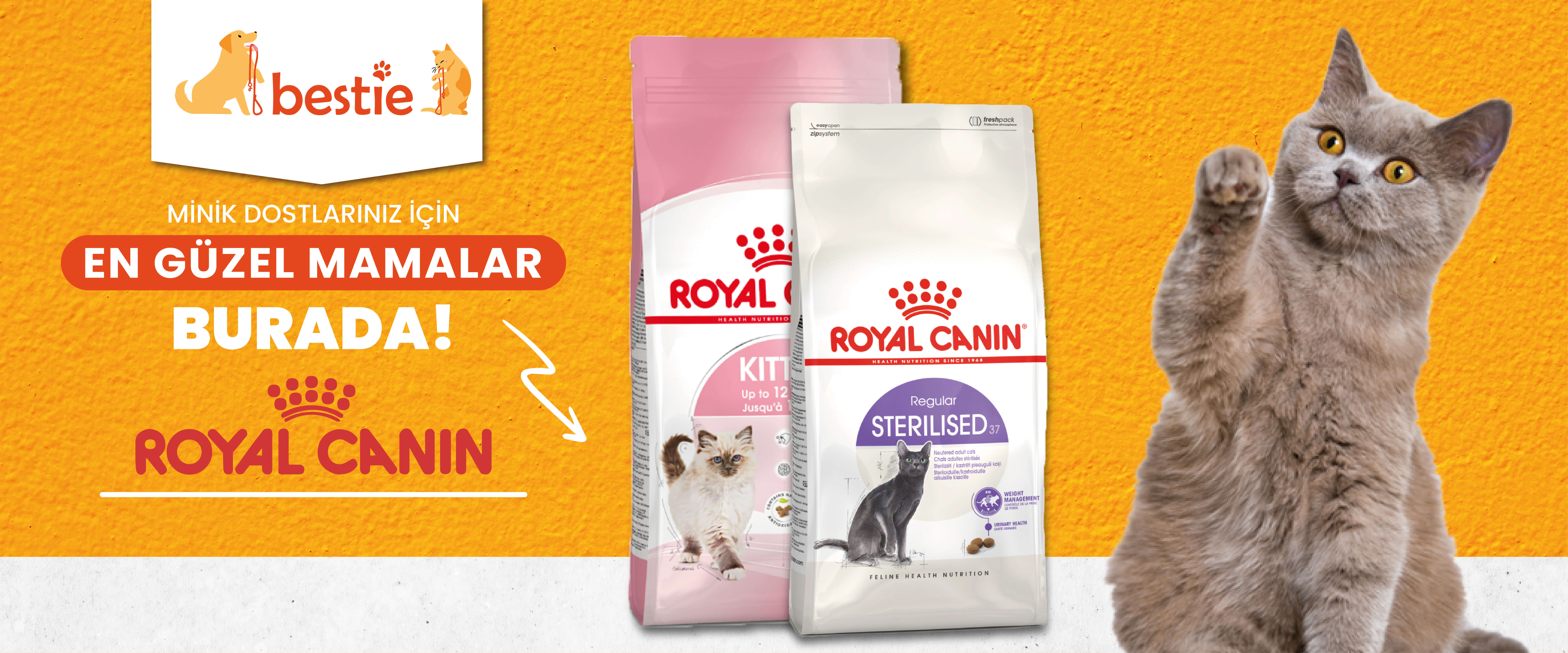 Royal Canin Kedi maması