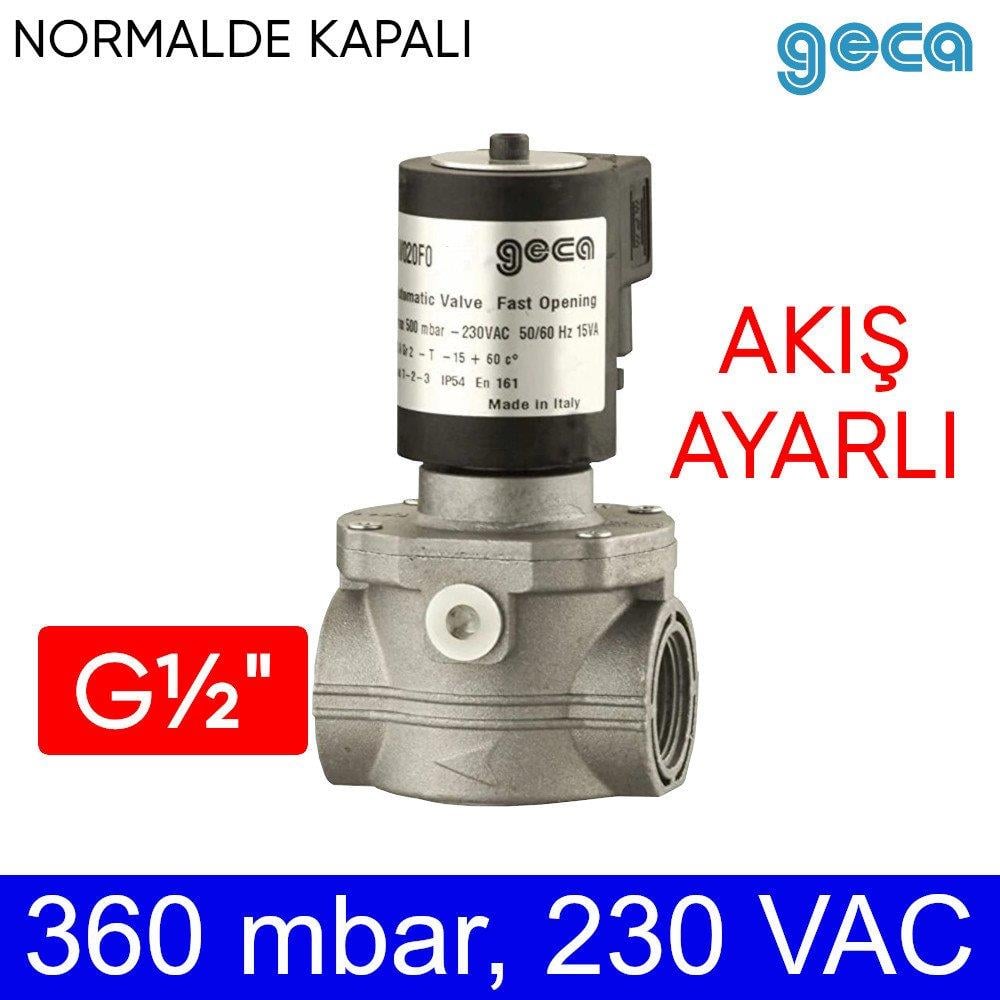 AV015FO-FR | Doğal Gaz için Solenoid Vana