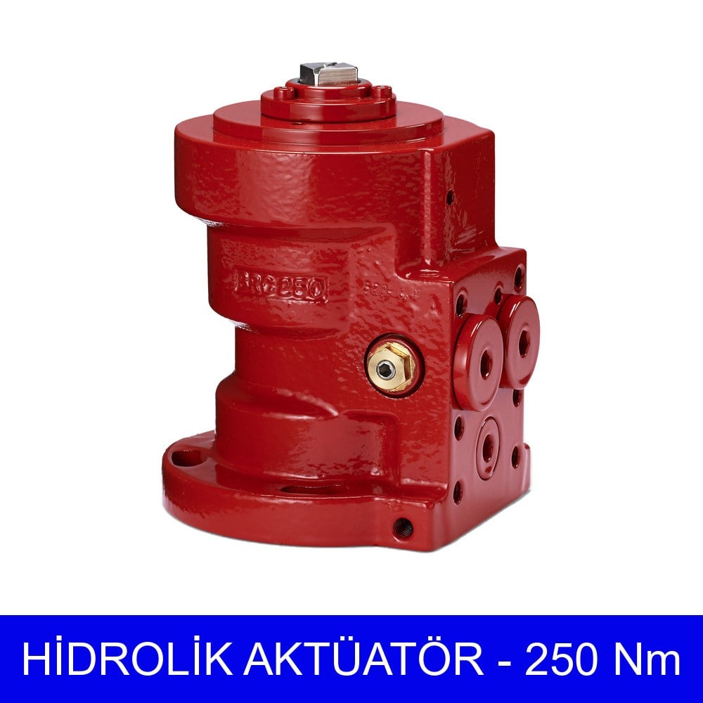 Damcos BRC 250 Çift Etkili Hidrolik Döner Aktüatör 250 Nm 135 Bar