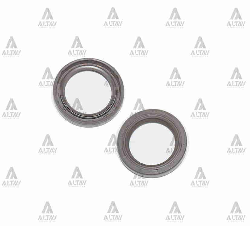 KEÇE BALANS MİLİ H-100 94-06 / L-300 90-08 / STAREX 02-08 BÜYÜK (25*35*6)
