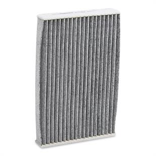 Polen Filtresi Juke F15 10-19 / Pulsar 16= Karbonlu