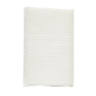 Polen Filtresi Juke F15 10-19 / Pulsar 16=> Karbonsuz