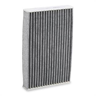 Polen Filtresi Juke F15 10-19 / Pulsar 16= Karbonlu