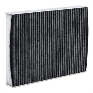 Polen Filtresi Qashqai J11 14-21 Karbonlu