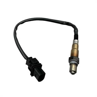 Semiz eshakning surati