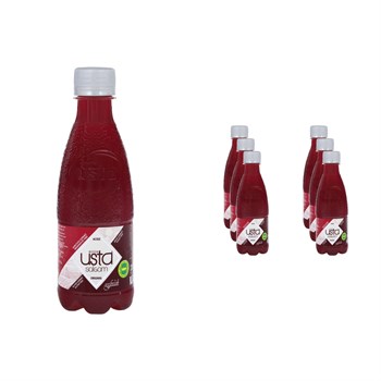 Büyük Usta Acısız Adana Şalgamı 330 ml Pet Şişe x 6 Adet