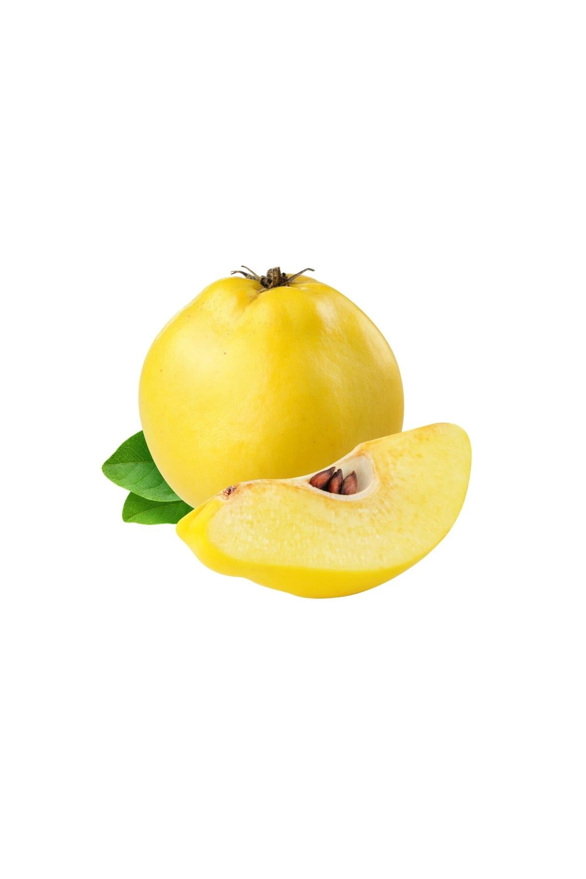 Ayva KG