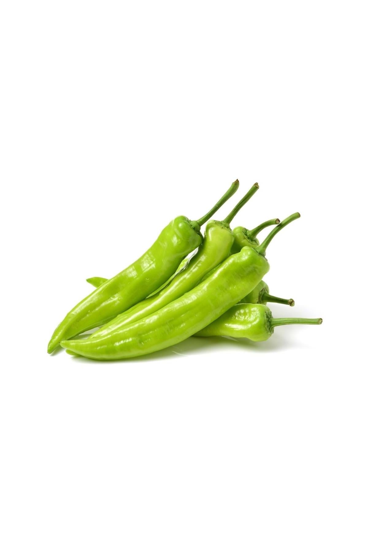 Biber Çarliston KG