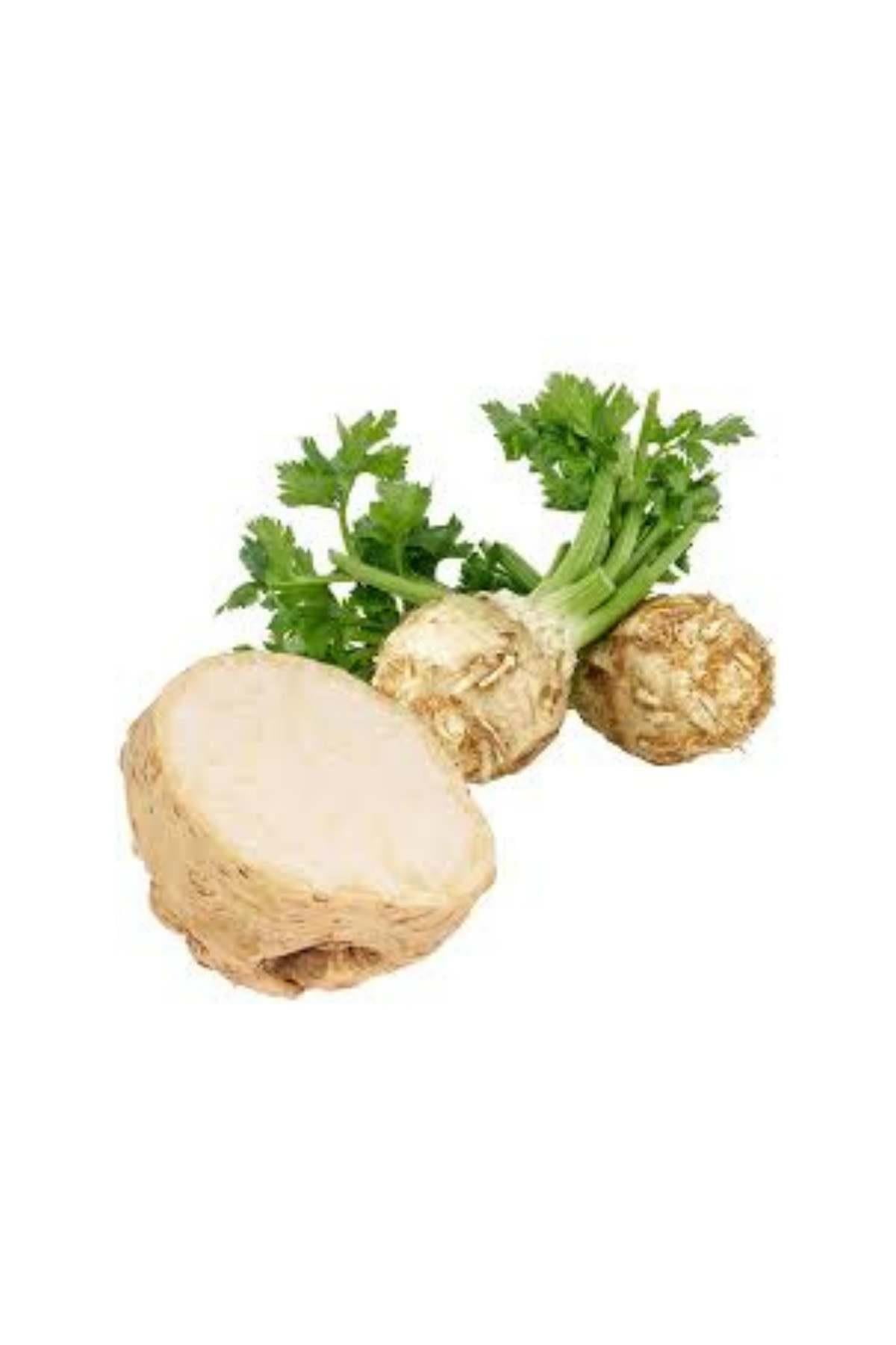 Kereviz KG
